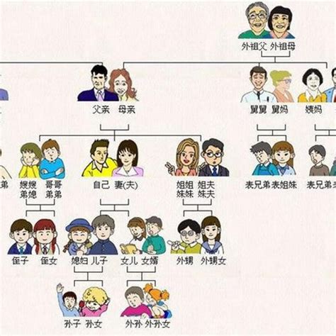 表堂怎麼分|漢語親屬系統